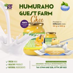 WhatsApp Image 2026-02-09 at 17.05.01